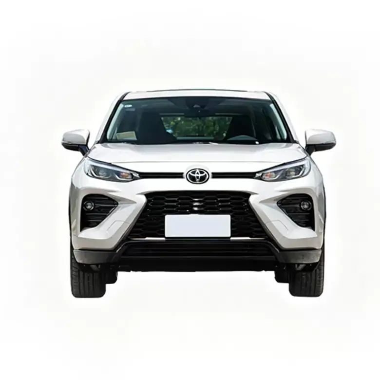 2024 Toyota Wildlander 2.0L gallery view 5
