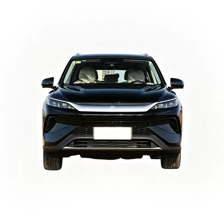 2025 BYD Song PRO DM-i gallery view 3