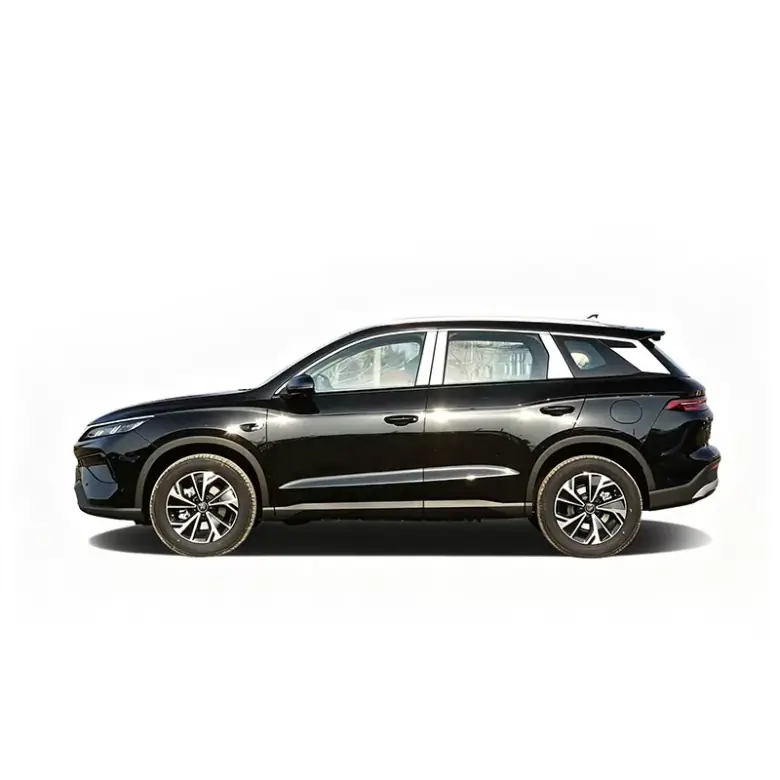 2025 BYD Song PRO DM-i gallery view 4