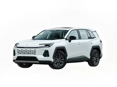 2026 Toyota Wildlander 2.0L exterior