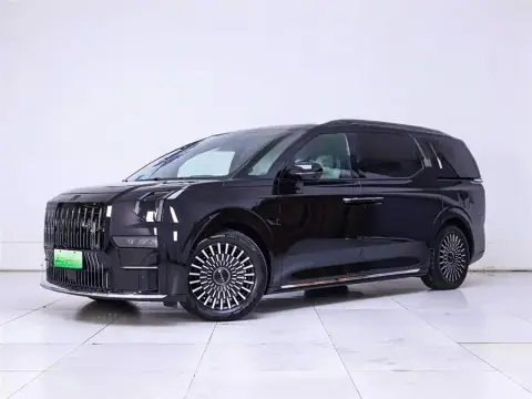 Used Zeekr 009 2024 exterior